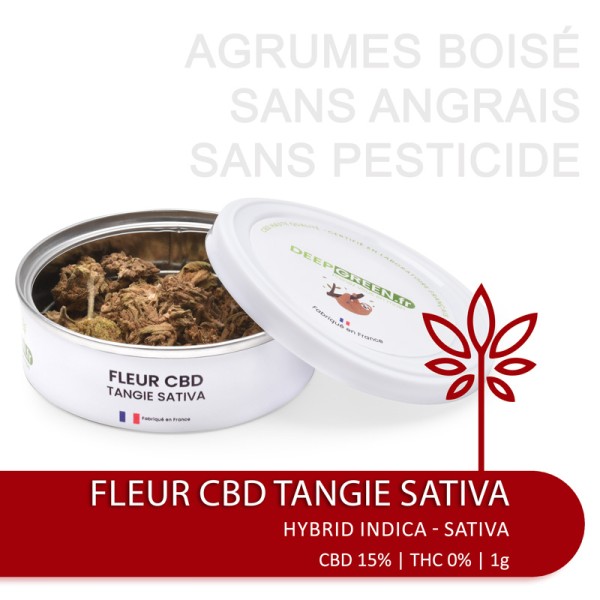 Fleur de CBD  2,5% à 7,5% TANGIE SATIVA