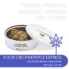 Fleur de CBD 6,6% PINEAPPLE EXPRESS