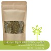 Infusion ÉQUILIBRE DÉTOX CBD 25g DeepGreen