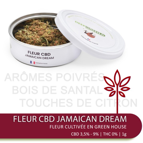 Fleur de CBD JAMAÏCAN DREAM