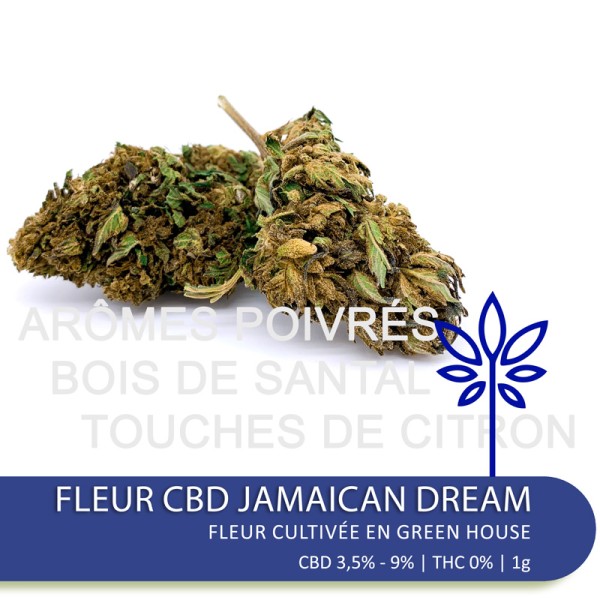 Fleur de CBD JAMAÏCAN DREAM